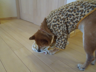 f:id:miyuki1967:20120116073623j:image