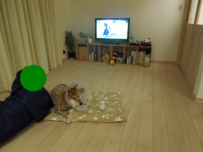 f:id:miyuki1967:20120116141810j:image