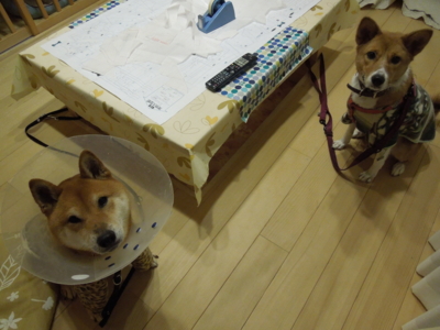 f:id:miyuki1967:20120123194101j:image f:id:miyuki1967:20120123194101j:image