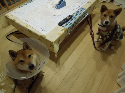 f:id:miyuki1967:20120123194102j:image f:id:miyuki1967:20120123194102j:image