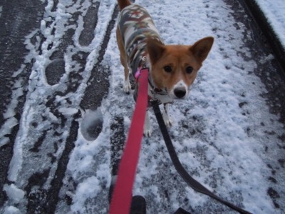 f:id:miyuki1967:20120124063429j:image