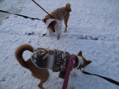 f:id:miyuki1967:20120124063500j:image