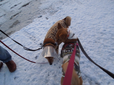 f:id:miyuki1967:20120124063535j:image