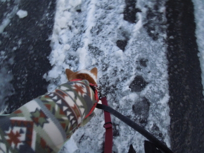 f:id:miyuki1967:20120124064009j:image