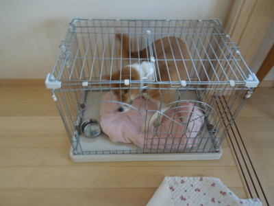 f:id:miyuki1967:20120128080437j:image