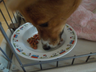 f:id:miyuki1967:20120128080550j:image