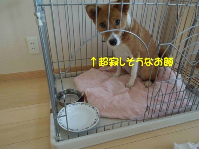 f:id:miyuki1967:20120128114914j:image