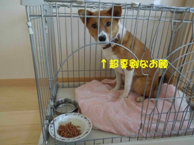 f:id:miyuki1967:20120128115042j:image