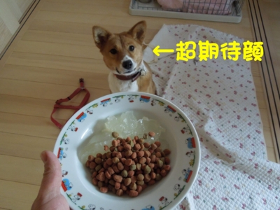 f:id:miyuki1967:20120128115100j:image