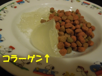 f:id:miyuki1967:20120128115107j:image