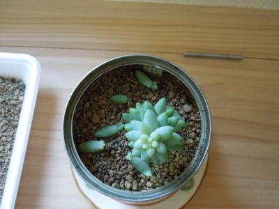 f:id:miyuki1967:20120130075122j:image