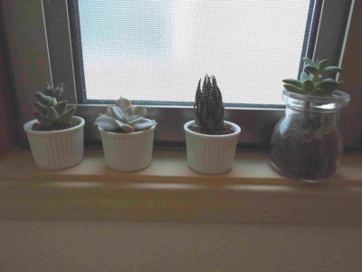 f:id:miyuki1967:20120131095306j:image