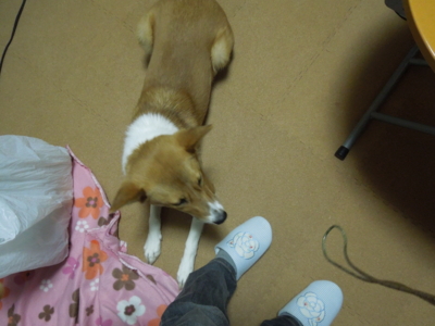 f:id:miyuki1967:20120226181032j:image