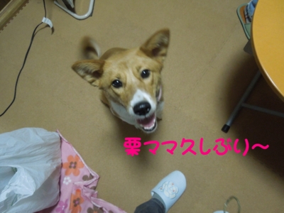 f:id:miyuki1967:20120228125739j:image