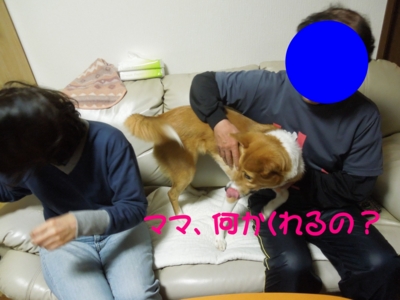 f:id:miyuki1967:20120228125742j:image