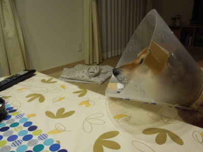 f:id:miyuki1967:20120306231820j:image