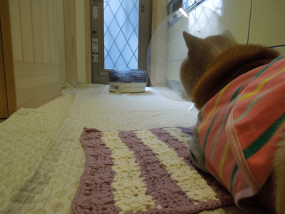 f:id:miyuki1967:20120307073432j:image