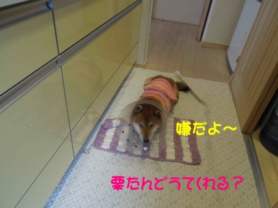 f:id:miyuki1967:20120307110323j:image