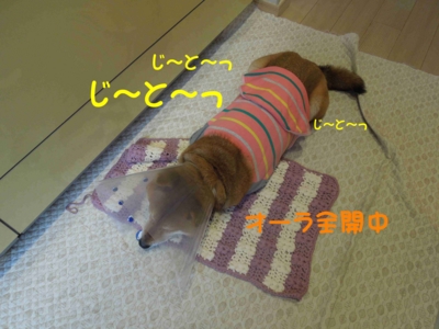 f:id:miyuki1967:20120307110341j:image