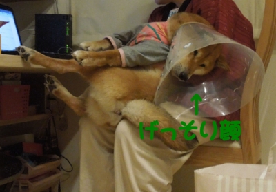 f:id:miyuki1967:20120311235231j:image