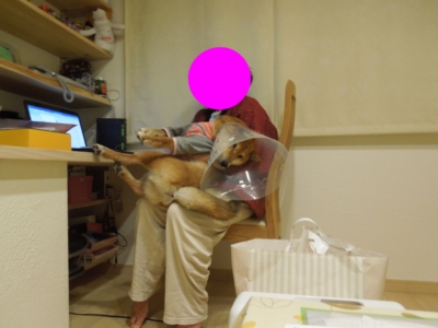 f:id:miyuki1967:20120311235238j:image