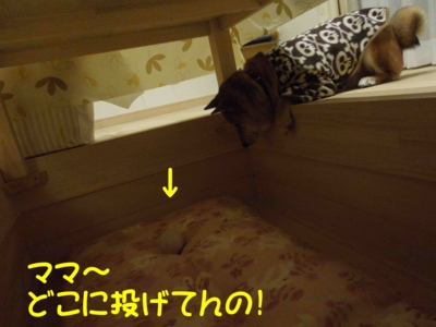 f:id:miyuki1967:20120313094515j:image