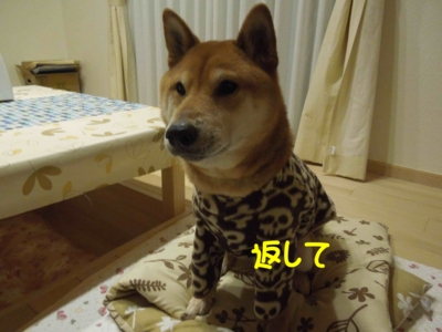 f:id:miyuki1967:20120313094533j:image
