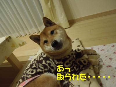 f:id:miyuki1967:20120313094550j:image