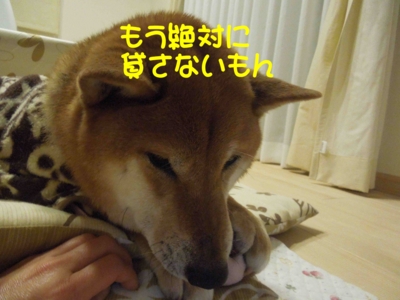 f:id:miyuki1967:20120313094607j:image