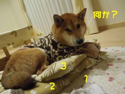 f:id:miyuki1967:20120313094624j:image