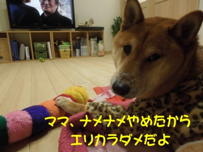 f:id:miyuki1967:20120316092623j:image