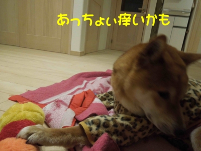 f:id:miyuki1967:20120316092640j:image