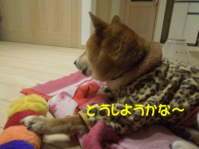f:id:miyuki1967:20120316092658j:image