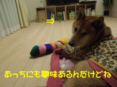 f:id:miyuki1967:20120316092716j:image