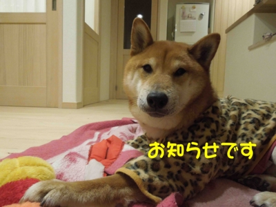 f:id:miyuki1967:20120316092734j:image