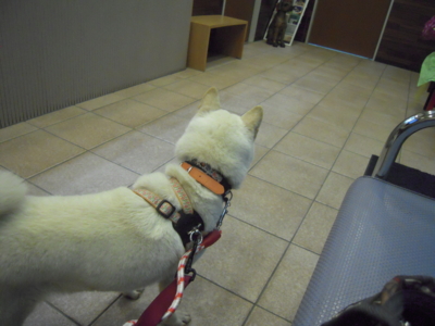 f:id:miyuki1967:20120411183420j:image