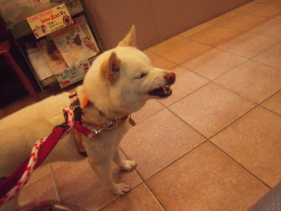 f:id:miyuki1967:20120411183454j:image