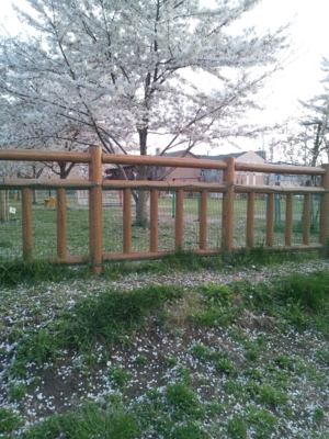 f:id:miyuki1967:20120412180012j:image