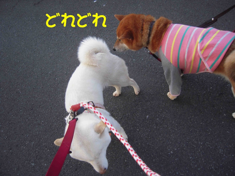 f:id:miyuki1967:20120413101119j:image:w400