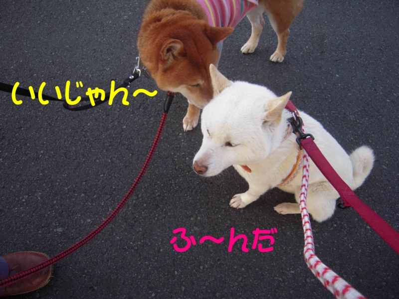 f:id:miyuki1967:20120413101122j:image:w400