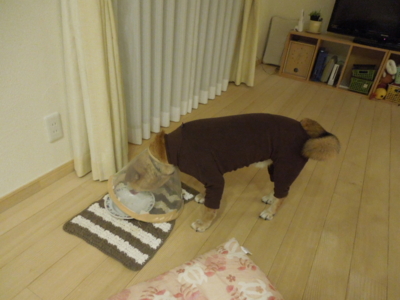 f:id:miyuki1967:20120419190745j:image