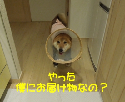 f:id:miyuki1967:20120420091946j:image