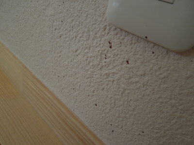 f:id:miyuki1967:20120505144031j:image f:id:miyuki1967:20120505144031j:image