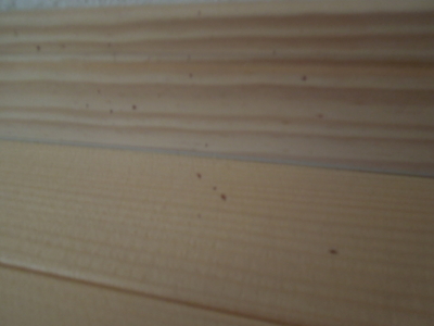 f:id:miyuki1967:20120505144037j:image f:id:miyuki1967:20120505144037j:image