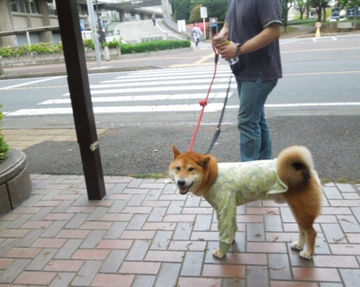 f:id:miyuki1967:20120507115658j:image f:id:miyuki1967:20120507115658j:image