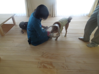 f:id:miyuki1967:20120519130805j:image