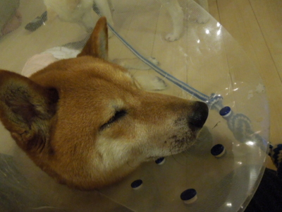 f:id:miyuki1967:20120525193826j:image