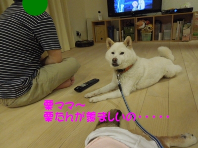 f:id:miyuki1967:20120526093055j:image