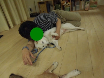 f:id:miyuki1967:20120526093544j:image