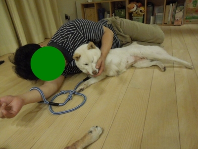 f:id:miyuki1967:20120526093546j:image